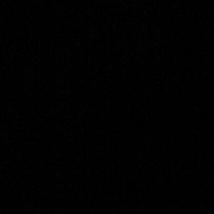 Meet your Posher, Nadine